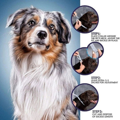 Seresto Flea & Tick Collar for Dogs