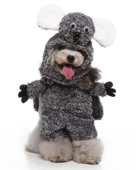 Euro-American Pet Couture
