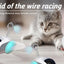 AutoPlay Pet Chase Car