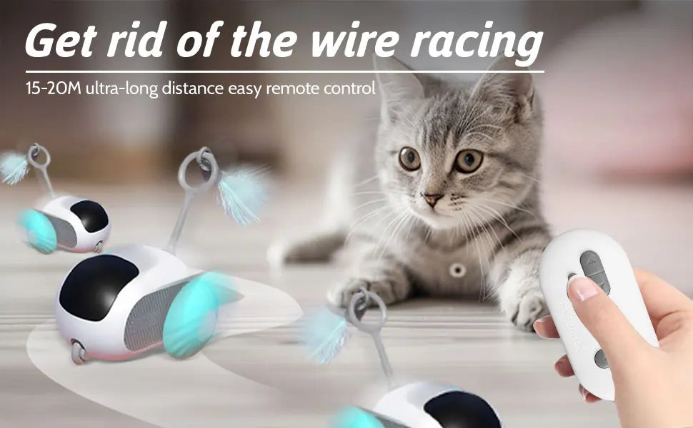 AutoPlay Pet Chase Car