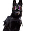 Creative Pet Sunglasses with Large Frames for Dogs