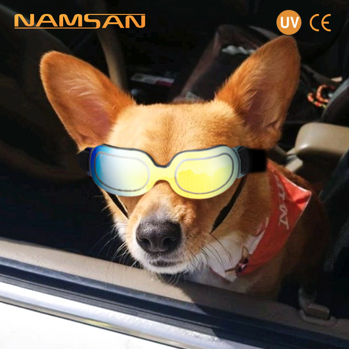 Chic Pet Sunglasses for Dogs & Cats