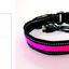 LED Dog Leash with Fluorescent Dog Collar