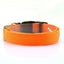 Luminous Fluorescent Dog Collar for Pet Supplies