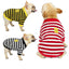 Striped Bullfighting Sweater for Dogs - Fall/Winter Coat