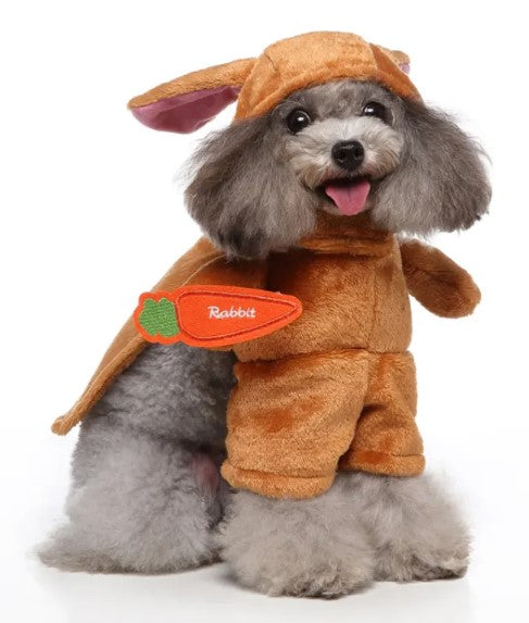 Euro-American Pet Couture