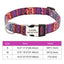 Personalized Adjustable Nylon Dog and Cat Collar