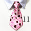Trendy Dog & Cat Accessory Shop