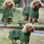 Super Absorbent Dog Towel