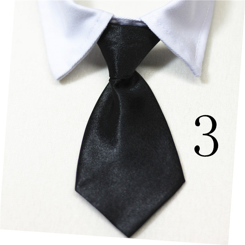 Trendy Dog & Cat Accessory Shop