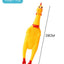 Creative Vocal Chicken Dog Toy for Teeth Grinding