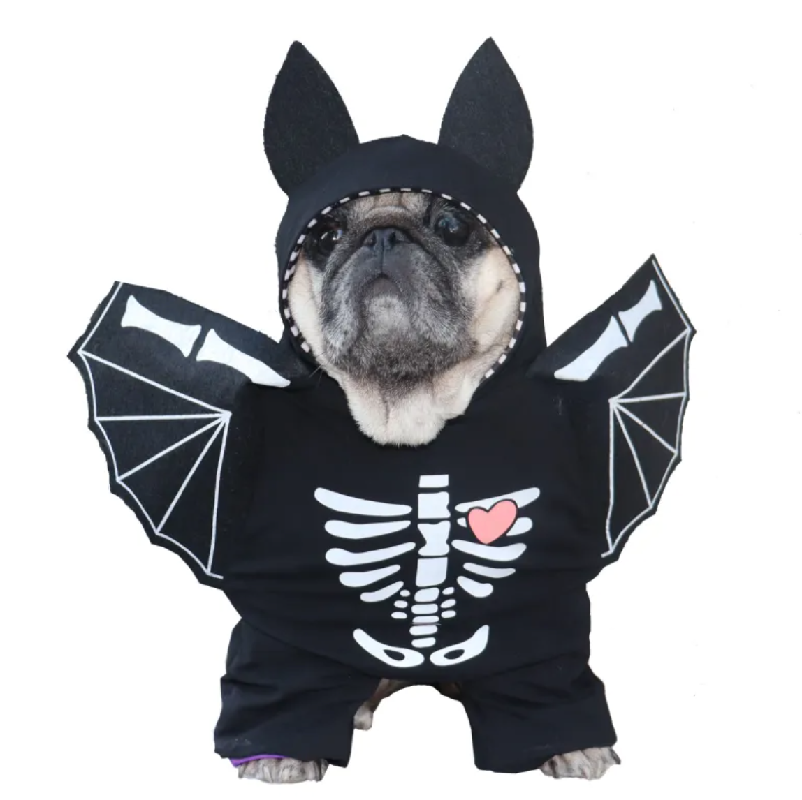 Dog Black Bat Halloween Costume