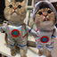 Pet Astronaut Costume