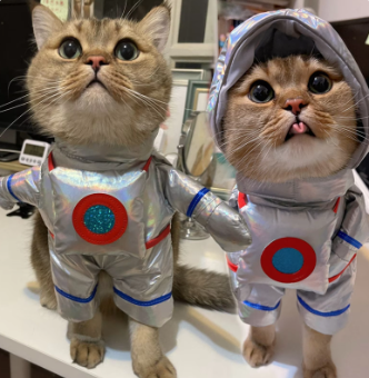 Pet Astronaut Costume