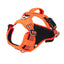 Durable Waterproof Pet Harness with Vertical Handle