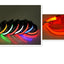 LED Dog Leash with Fluorescent Dog Collar
