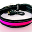 LED Dog Leash with Fluorescent Dog Collar