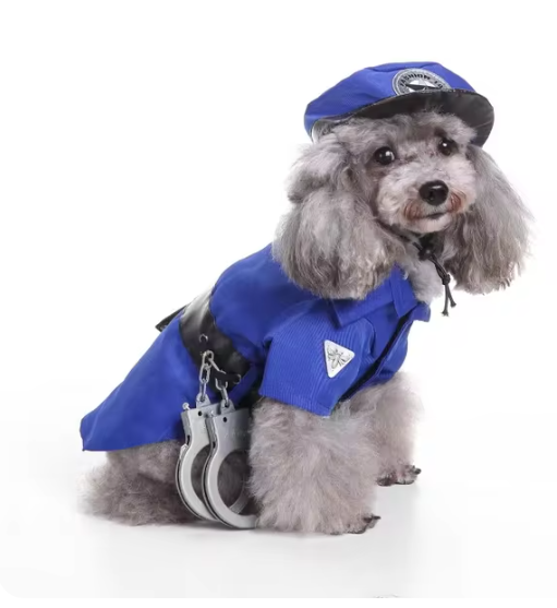 Dog Prison Costume