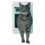 Ideal Pet Products Chubby Kat Plastic Large 7.5" x 10.5" Flap Size