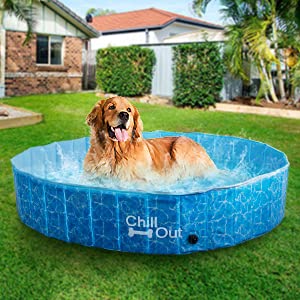 PAW Paradise Foldable Dog Pool - Large