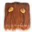 Pet Wig - Lion Head Costume for Dogs