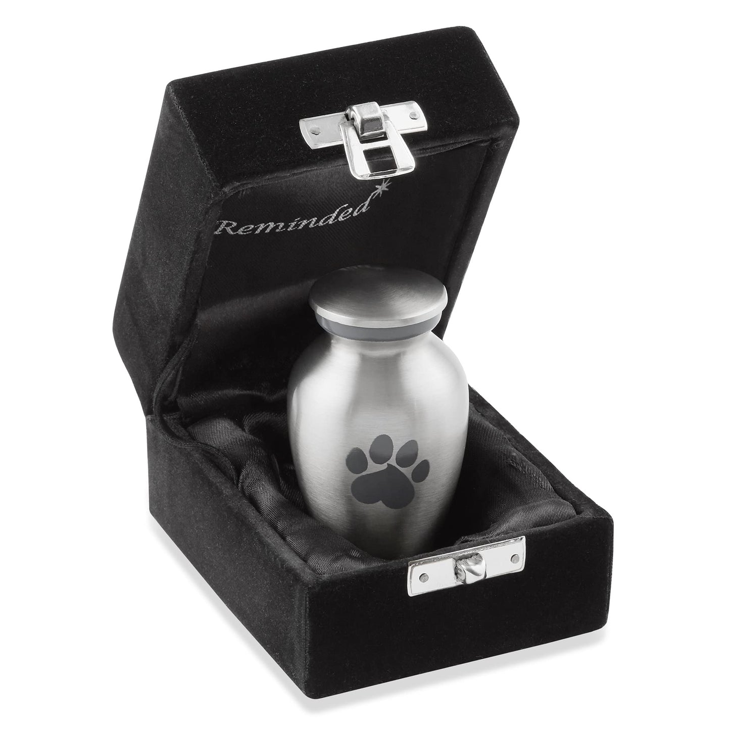 Paw Print Memorial Pet Urn - Silver Keepsake for Dog and Cat Ashes