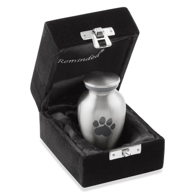 Paw Print Memorial Pet Urn - Silver Keepsake for Dog and Cat Ashes