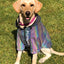 Reflective Raincoat for Dogs - Corgi, Schnauzer, Frenchie