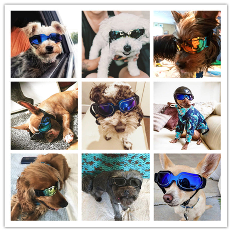 Chic Pet Sunglasses for Dogs & Cats