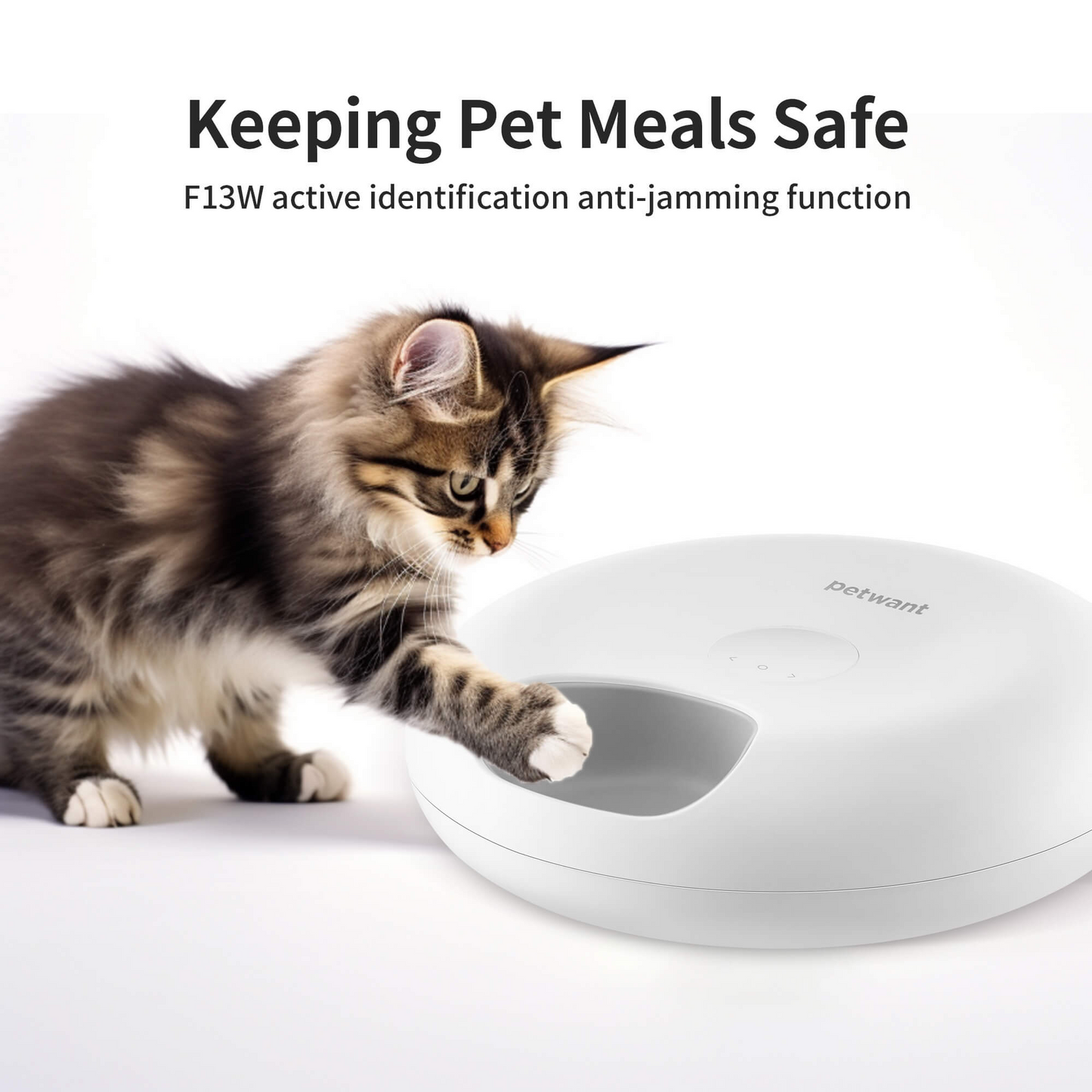 Smart 6-Meal Pet Feeder with WiFi & Ice Packs