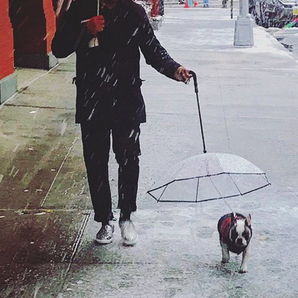 Clear View Pet Umbrella