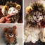 Funny Lion Mane Hat for Cats and Kittens