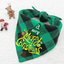 Double-layer Triangle Pet Scarf and Saliva Towel