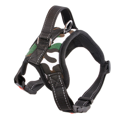 Medium and Large Dog Collar for Pet Supplies