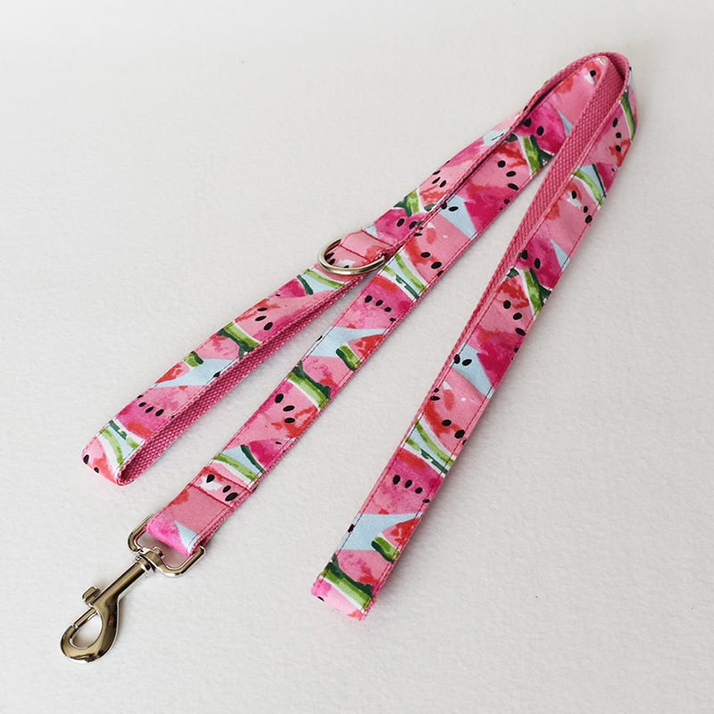 Watermelon Dog Collar and Leash Pet Supplies