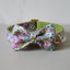 Purple Zephyr Dog Collar and Leash Set