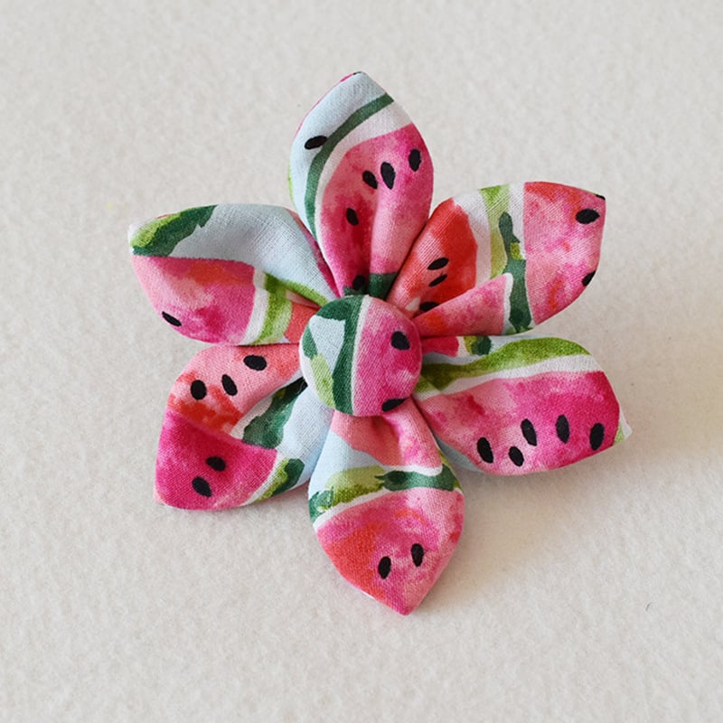 Watermelon Dog Collar and Leash Pet Supplies