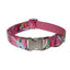 Watermelon Dog Collar and Leash Pet Supplies