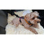Pet Safety Belt for Dogs - Car Travel Accessories
