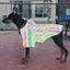 Reflective Raincoat for Dogs - Corgi, Schnauzer, Frenchie