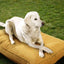 Sunbrella Double Sided Dog Bed for Indoor/OutdoorWashable Cover & Chew Proof Pets Mat for Multipurpose Easy Care & Pet Safe Products (Medium Polyester Yellow 26”x18”x 3")