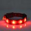 Glowing Adjustable Pet Collar
