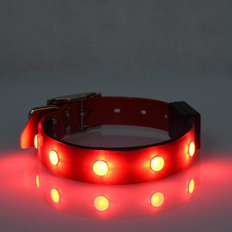 Glowing Adjustable Pet Collar