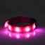 Glowing Adjustable Pet Collar