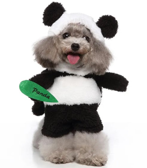 Euro-American Pet Couture