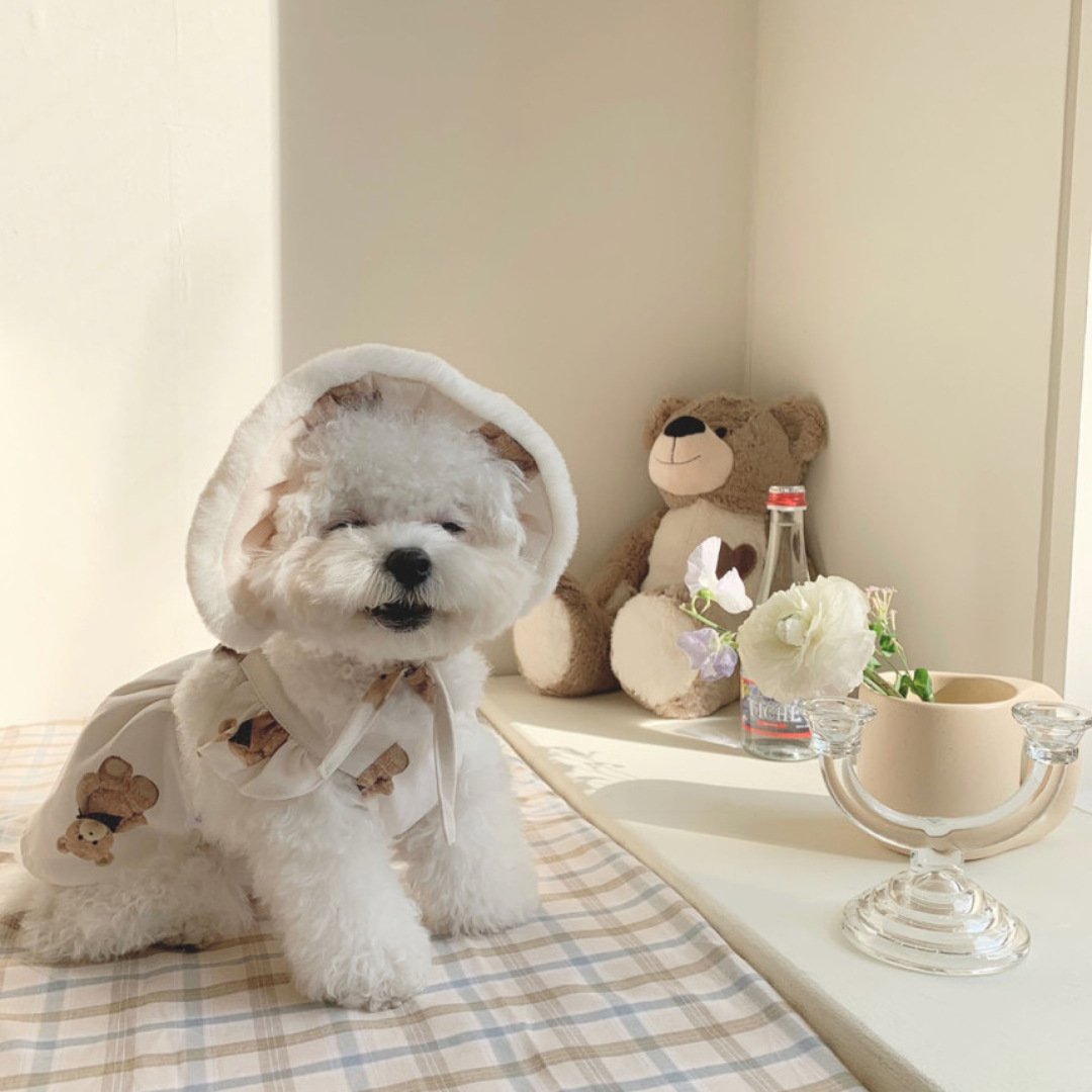 Cute Bear Suspender Skirt for Bichon Teddy Dogs