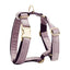 Chic Velvet Pet Collar