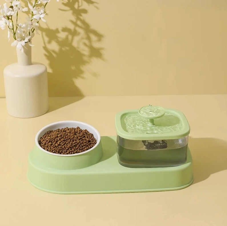 2-in-1 Cat Water Fountain & Feeding Bowl