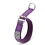 Small Dog Collar Pet Supplies