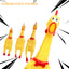 Creative Vocal Chicken Dog Toy for Teeth Grinding